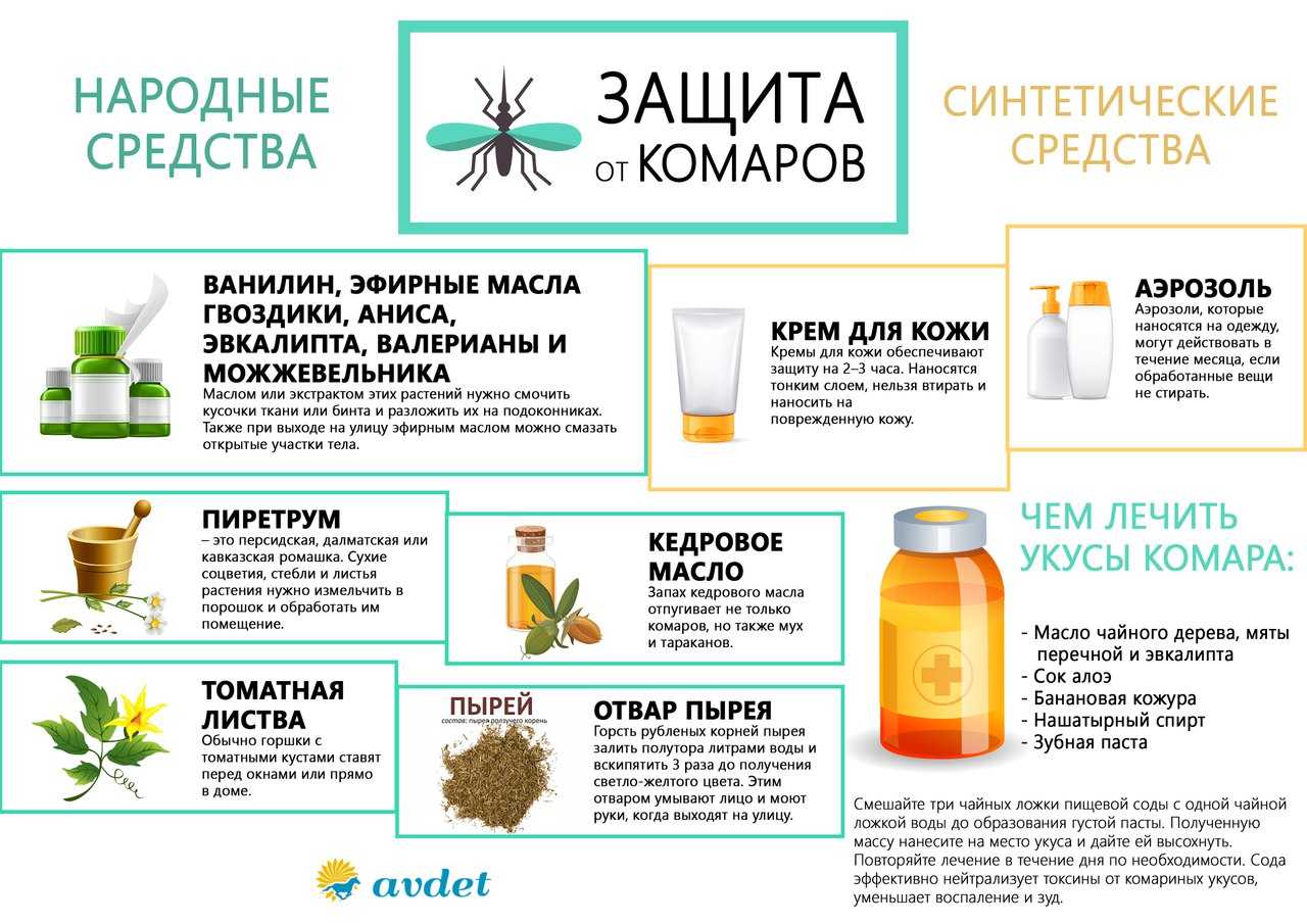 Как избавиться от комаров в походе, на рыбалке и при отдыхе на природе