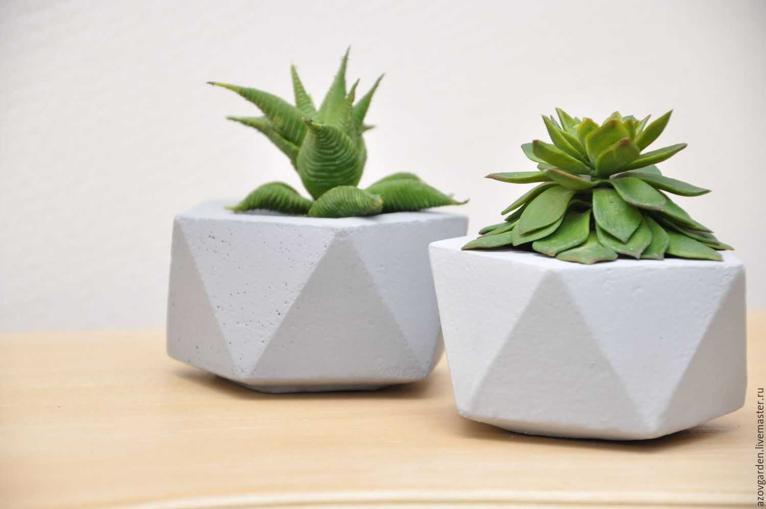 Горшки для суккулентов: выбираем и создаем своими руками - home jungles