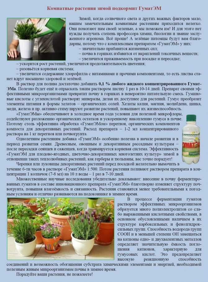 Как применять мочевину для подкомки цветов - удобряшкин.ру