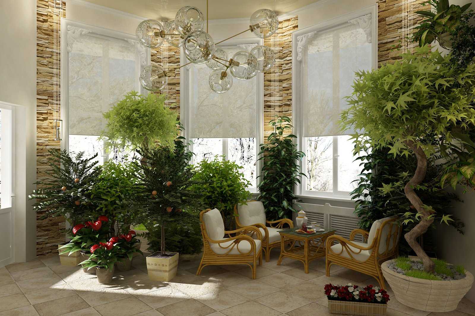 Самые крупные комнатные растения: топ-23