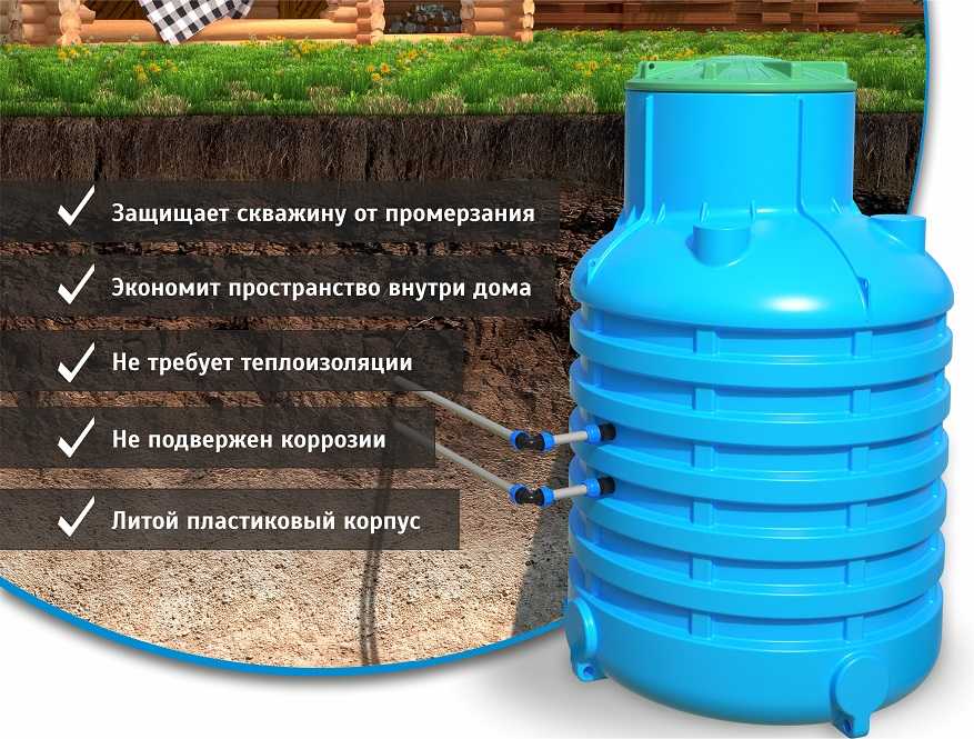 Плесень в погребе: 4 причины и 7 способов дезинфекции