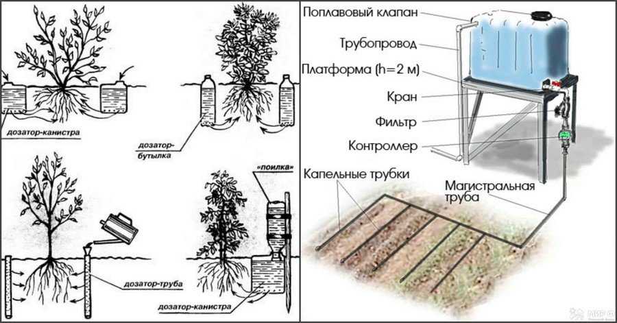Капельный полив из бутылок своими руками - строительство и ремонт