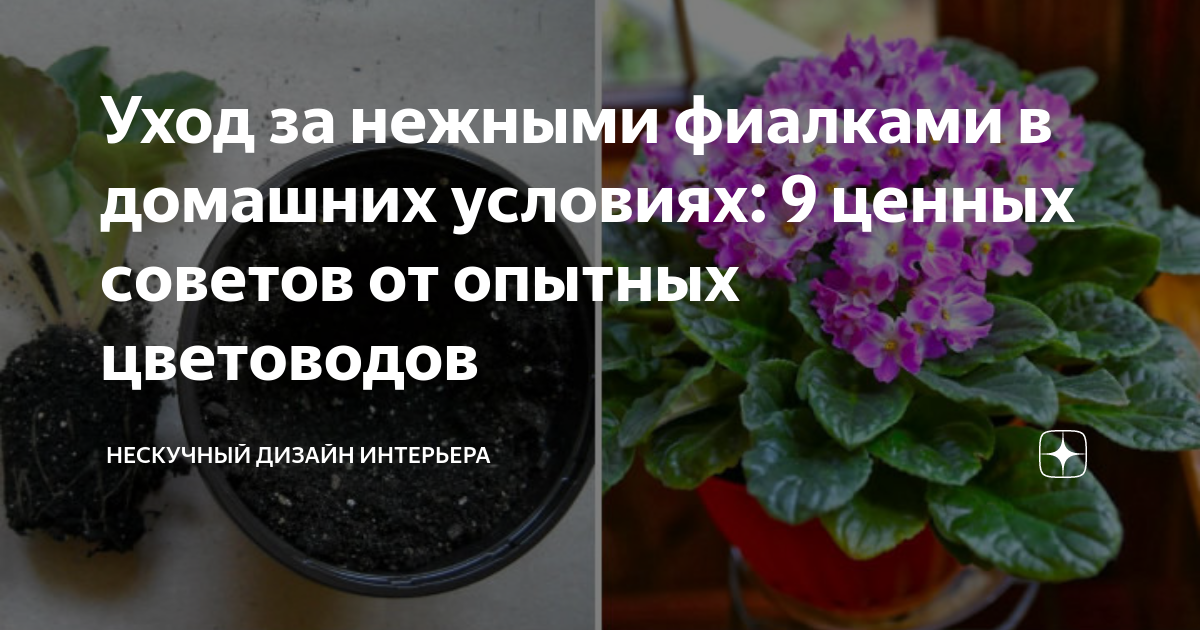 Горшок для цветов пластиковый аленький цветочек пи-20-6тх для фиалок оливковый