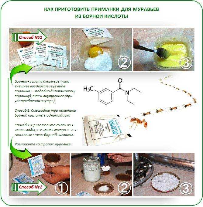Борная кислота от муравьев в огороде: действие и применение
