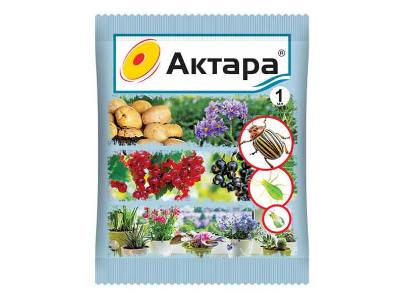 Инсектицид актара: инструкция по применению препарата для обработки плодовых и комнатных растений