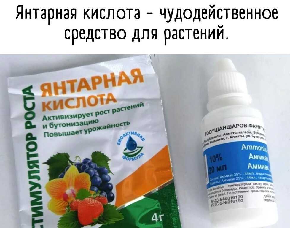 Янтарная кислота: применение для растений, отзывы