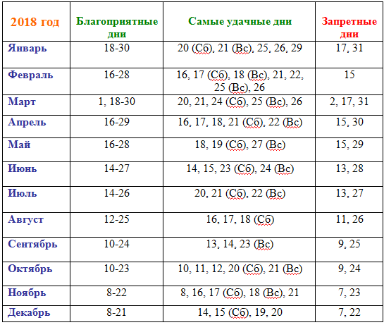 В какой день лучше пересаживать комнатные цветы: лунный календарь на 2022 год
