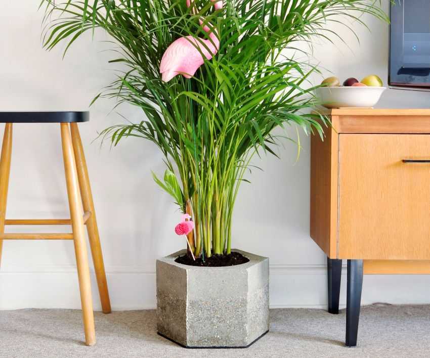 Горшки для цветов от IKEA – это не только функциональный, но и декоративный элемент любого интерьера. Какие разновидности горшков существуют Выбираем цветочные горшки с автополивом из керамики и других материалов, белого и других цветов.