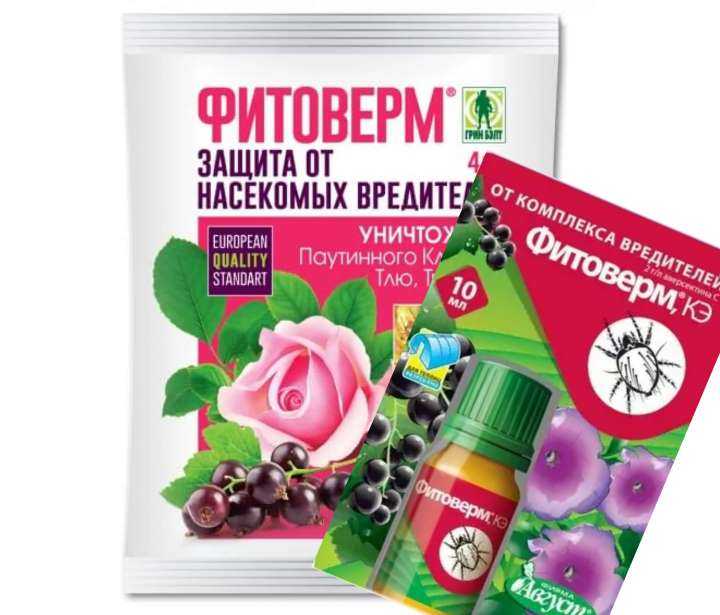 Препарат фитоверм: подробная инструкция, как правильно разводить