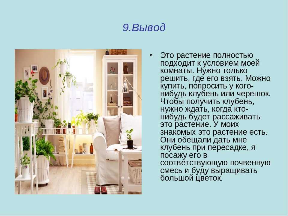 Как разместить цветы в квартире