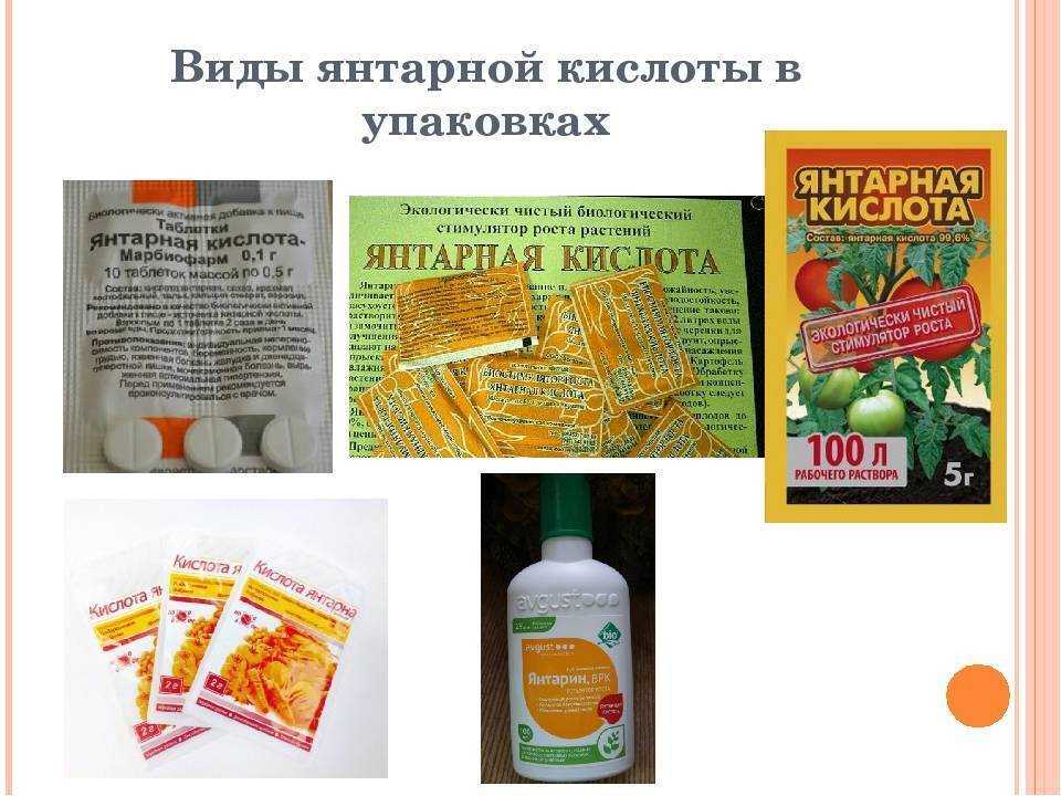 Янтарная кислота для комнатных цветов — применение и отзывы